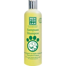 MenforSan Buğday Tohumu Özlü Şampuanı 300 ml