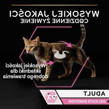 Larskas 85GR Okyanus Balıklı Yetişkin Kedi Konservesi, Lezzetli