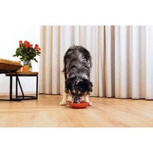 Larskas Yavru Köpek  Yeme Oyuncağı, Silikon, Kırmızı, 19CM