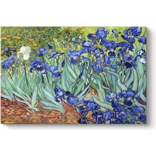 Sync Ticaret Iris Süsen Çiçeği Kanvas Tablosu 140 x 100