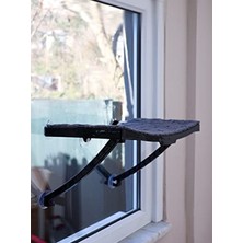 Larskas Vantuzlu Cam ve Duvar Kedi Yatağı, Modern Tasarım