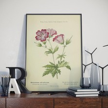 Sync Ticaret Turnagagası Bitkisi Sanatsal Poster 50X70 cm HBA041