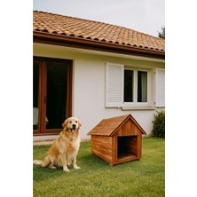 Empressco Orta Boy Doğal Ahşap Dış Mekan Köpek Evi, Rahat ve Şık Tasarım