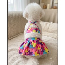 Atelyu Kedi Köpek Kıyafeti Mayo Bikini