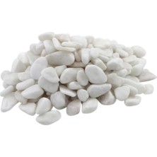 Sync Ticaret Alyones 5 kg Dolomit Taş 1-2 cm Dere Taşı Çakıl Taşı Bahçe Süs Taşı Dolamit Taş Dekoratif Taş