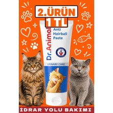Dr. Animal Urıner Destek Paste 75 gr Fenni Karma Yem