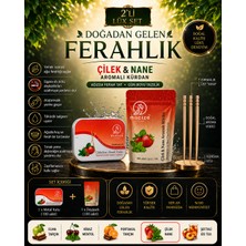 Mucize 2´li Lüx Set (1 Metal Kutu +1 Refill Doypak).200x Çilek Nane Aromalı Kürdan Değişik Meyve Tatlarında Nefes Ferahlığı