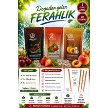 Mucize 3´lü Set (3 Adet Refill Doypak).(Kiraz-Mentol/çilek-Nane/şeftali-Buzlu Çay) Aromalı Kürdan-Sakız ve Şeker Alternatifi -Değişik Meyve Tatlarında Nefes Ferahlığı