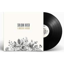Ada Müzik Selçuk Basa - 4 Mevsim 1 Hikaye (Plak)