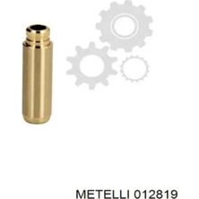 SKT Subap Gaydı Metelli 012819 Clio K9K