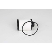 Filtron Yakıt Filtresi Bsg 25130006 Ducato Boxer Jumper Euro 4 Oem 77362340