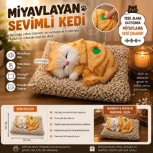 İki Yedi Konsept Dozzi 776 Miyavlayan Turuncu Peluş Kedi Sesli Dekoratif Oyuncak Yastıklı Hediyelik Eşyalar 18X15 cm