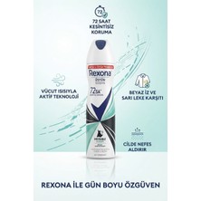 Glonar Kesintisiz Koruma Deodorant