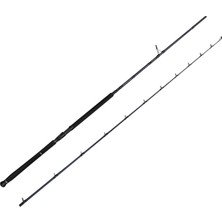 Savage Gear Defiance Sg2 Shore Jig 2.90M 15-60GR 2 Parça Olta Kamışı