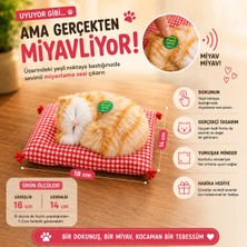 İki Yedi Konsept Dozzi 773 Miyavlayan Uyuyan Kedi Peluş Dekoratif Sesli Oyuncak Minderli 18X14 cm Hediyelik Eşyalar