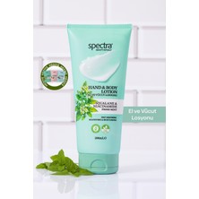 Spectra Care Nemlendirici ve Canlandırıcı Hızlı Emilen Vegan El ve Vücut Losyonu -Fresh Mint- 200 ML