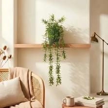 Homing Yapay Yeşil Sarkıt Bitki Çiçek Okaliptus
