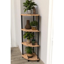 The Violett Flora 4 Raflı Moblen Çiçeklik Saksılık Balkon Bahçe Dekor Raf Stand-Atlantik Çam