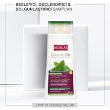 Saç Dökülmesine Karşı Bitkisel Şampuan – Isırgan Tohumu Yağı & Zeytinyağı Içerikli, Dolgunlaştırıcı Etki, Kompleks B19, 360 ml