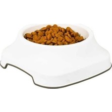 Eco Lounge Silikon Kaydırmaz Taban Plastik Kedi ve Köpek Mama ve Su Kabı 2 L