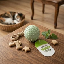 Eco Lounge Sesli Dikenli Evcil Hayvan Oyuncak Topu
