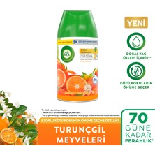 Air Wick Oda Kokusu Freshmatic Yedek Sprey Turunçgil Meyveleri, 250ML