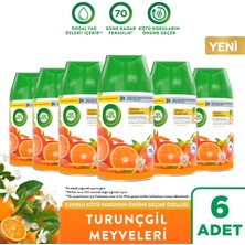 Air Wick Oda Kokusu Freshmatic Yedek Sprey Turunçgil Meyveleri, 6X250ML