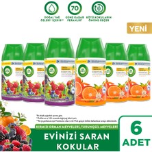 Air Wick Oda Kokusu Freshmatic Yedek Sprey Kırmızı Orman&turunçgil Meyveleri, 6X250ML