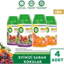 Air Wick Oda Kokusu Freshmatic Yedek Sprey Kırmızı Orman&turunçgil Meyveleri, 4X250ML