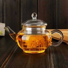 Empressco 250 ml Cam Demlik Süzgeç, Pratik ve Şık Tasarım