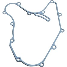 Tvr NS200 Kapak Contası
