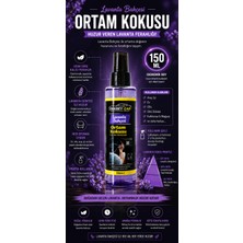 Pakbey Car Lavanta Bahçesi Ortam Kokusu 150 ml