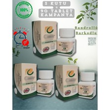 L&X CIALIS20HAPTABLET 20 Mg 3 Kutu Orjinal 90 Tablet Kampanya Kutulu Bandrollü CİALİS20_MG Geciktirici8 Sertleştirici9 CIALIS20HAP Istêk_arttırıcı Erkekperformâns_etkili 100% Kampanya_3