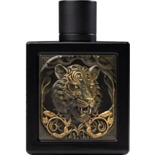Rayhaan Tiger Edp 100 ml Erkek Parfümü