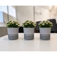 Poliwork 3'lü Set 0,40 Litre Ixora 9 Plastik Saksı Tabaklı Dekoratif Çiçek Saksısı Modern Mat Bitki Saksısı Gri