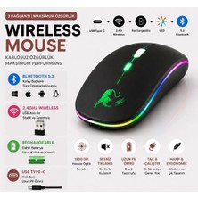 Tastech JNG-5012M Kablosuz Şarjlı Mouse Çift Modlu Bluetooth ve 2.4 Ghz USB Wireless Rgb LED Işıklı Telefon Tablet Bilgisayar Uyumlu 1600 Dpi Sessiz Click Mouse