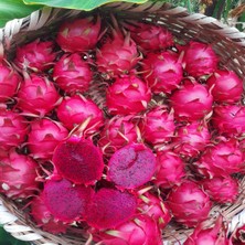 Bahcemden Online Ejder Meyvesi 2 kg (300 gr ve Üzeri 1. Kalite)
