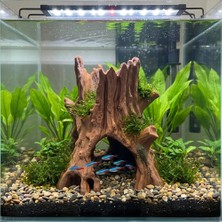 Kanki Pet 3D Yazıcı Akvaryum Dekoru Yapay Ağaç Kökü Mağara Petg 17X17CM KP3D10117
