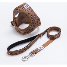 Pettrend Wild Elegance Göğüs Tasması ve Sevk Kayışı Tasma Seti Leopar Kedi Köpek Göğüs Tasması Seti