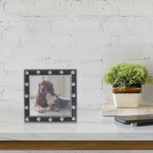 Astera Pati Tasarımlı Gümüş ve Siyah Resim Fotoğraf Çerçevesi (10X10 Cm)