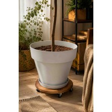 Htd Wood Tekerlekli Ahşap Saksı Altlığı