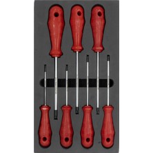 Colezium Torx Uçlu Tornavida Seti 7 Parça
