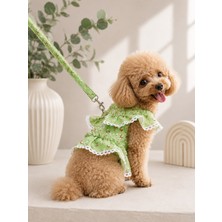 Çiçek Desenli Dantelli Köpek/kedi Elbisesi ve Gezdirme Tasması Takım (2 Parça Elbise Tasması ve Gezdirme Kayışı) Fırfırlı Tasarım