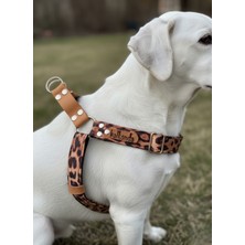 Empressco Ayarlanabilir Köpek Göğüs Tasması, Leopar Desenli, Her Irka Uygun