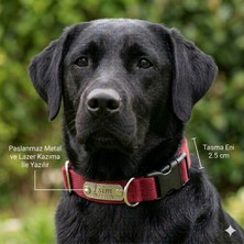 Empressco Ayarlanabilir Mini ve Orta Irk Köpek Tasması, Dayanıklı ve Şık