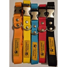 Empressco Renkli Köpek Boyun Tasma Seti 5'li, 30-43 Cm, Şık ve Konforlu Kullanım