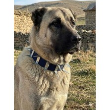 Empressco Konforlu ve Güvenli Köpek Koruma Tasması, Dayanıklı ve Şık Tasarım
