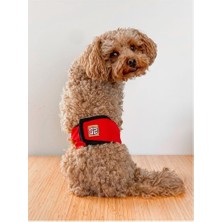 Empressco Kırmızı Erkek Köpek Çiş Bezi, Rahat ve Kullanışlı Köpek Külotu