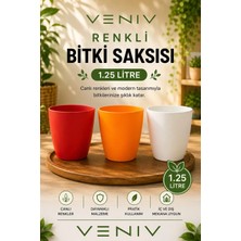 Veniv 3’lü Saksı Seti - Canlı Renkler, Modern Tasarım - Orkide Saksısı 1.25 L