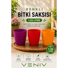 Veniv 3’lü Orkide Saksısı Seti 1.25 Litre – Dekoratif Renkli Plastik Saksı Seti